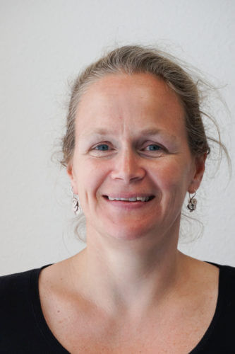M.J.I. Eleveld